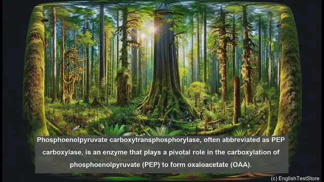 Video thumbnail for Phosphoenolpyruvate carboxytransphosphorylase in biology