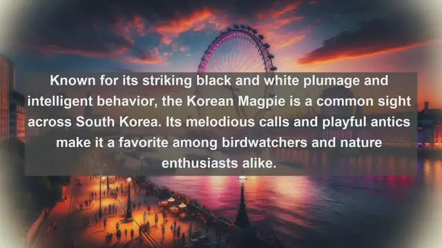 Video thumbnail for Wings of Wonder: Discover South Korea's Top 10 Native Birds