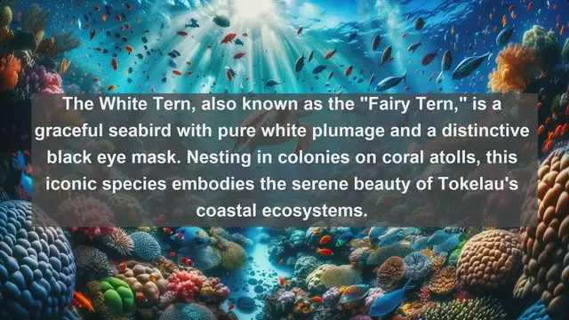 Video thumbnail for Discover Tokelau's Avian Treasures: Top 10 Native Birds Revealed