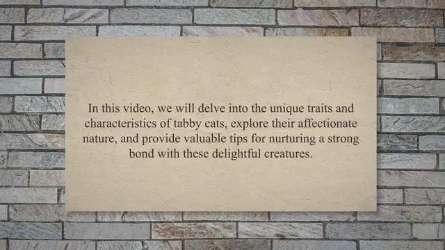 Video thumbnail for Tabby Cats Unveiled: The Affectionate Feline Companions You've Been Curious About!