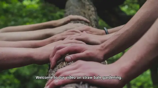 Video thumbnail for Straw Bale Gardening