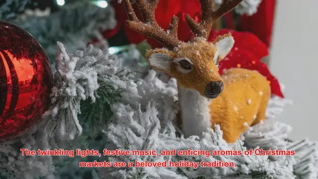 Video thumbnail for How Do Farmers Contribute To Christmas Markets?