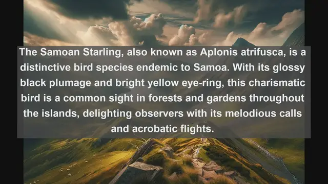 Video thumbnail for Top 10 native birds in Samoa