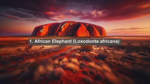 Video thumbnail for Discovering Zimbabwe's Natural Treasures: Top 10 Native Fauna