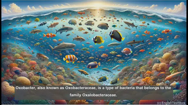 Video thumbnail for Oxobacter in biology