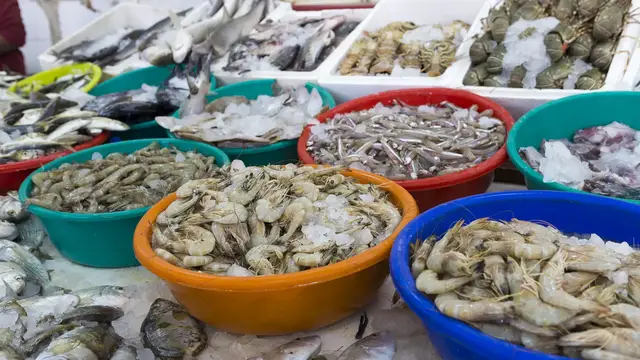 Video thumbnail for Marina und Fischmarkt Ras al Khaimah