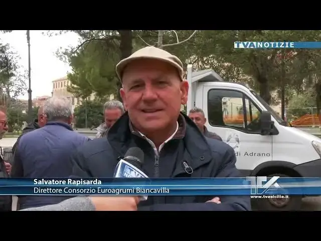 Video thumbnail for Adrano. Oggi la Festa dell'Albero. Grande allegria e sensibilità per i temi dell'ambiente e della vi