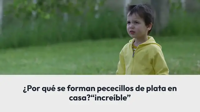 Video thumbnail for ¿Por qué se forman pececillos de plata en casa? “increíble”
