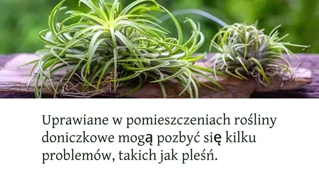 Video thumbnail for 1 (67)