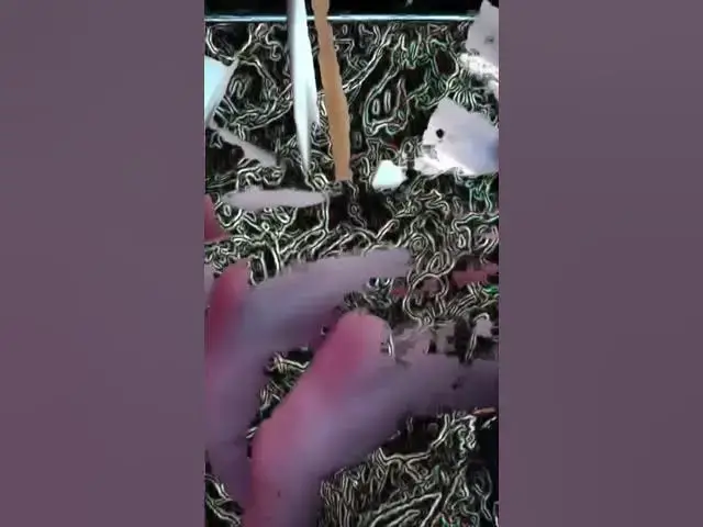 Video thumbnail for Mucky Kucky - One Last One