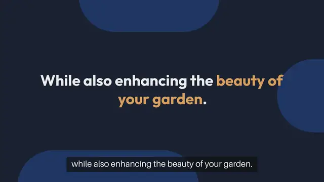 Video thumbnail for Outdoor Gardening Tips for Pollinator Plants