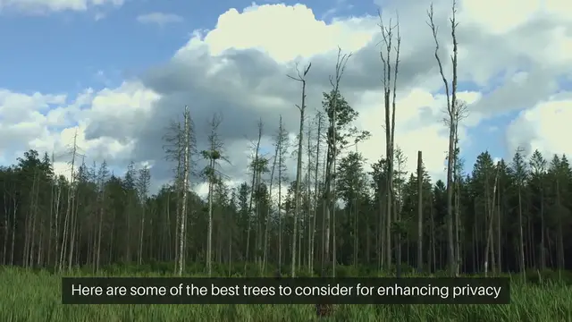 Video thumbnail for Best Trees For Privacy Landscaping
