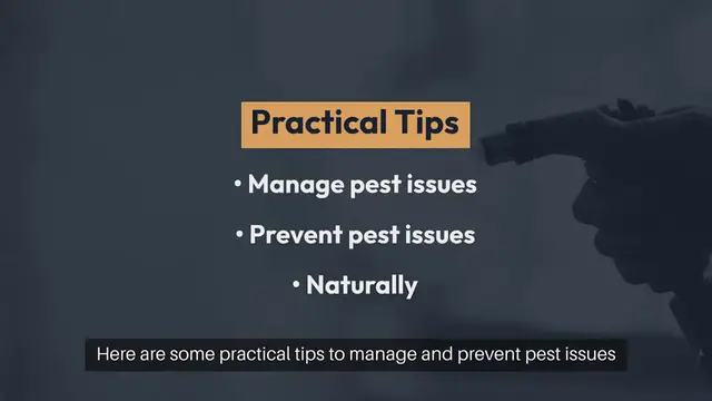 Video thumbnail for Outdoor Gardening Tips for Pest Control