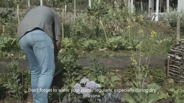 Video thumbnail for Common Landscaping Mistakes - Avoid These Wrong Advices