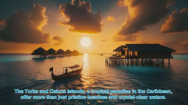 Video thumbnail for Discover the Wildlife Wonders of Turks and Caicos