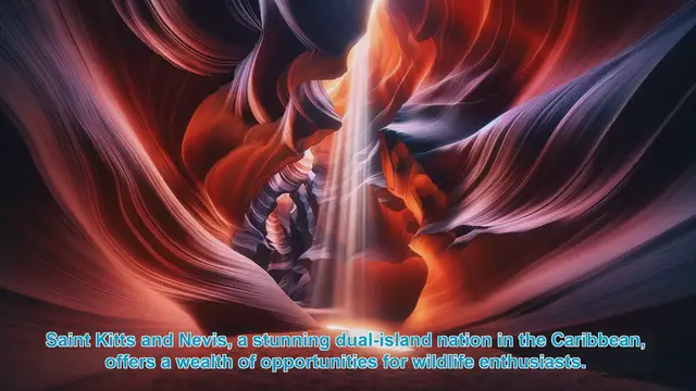 Video thumbnail for Discover the Top 10 Wildlife Hotspots in Saint Kitts and Nevis