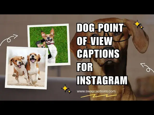 Video thumbnail for Dog Point of View Captions for Instagram