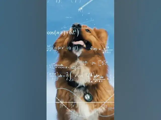 'Video thumbnail for Must-See: 10 Videos Every Dog Lover Should Watch'