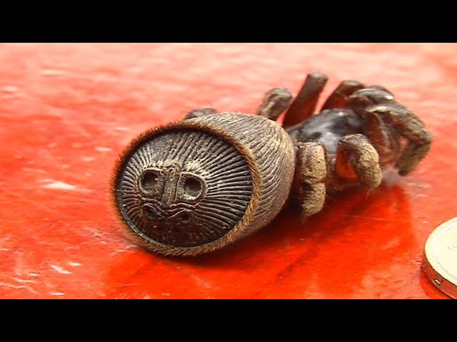 Video thumbnail for Poor Farmer Finds “Ancient Relic” In His Field – Then It Suddenly Moves