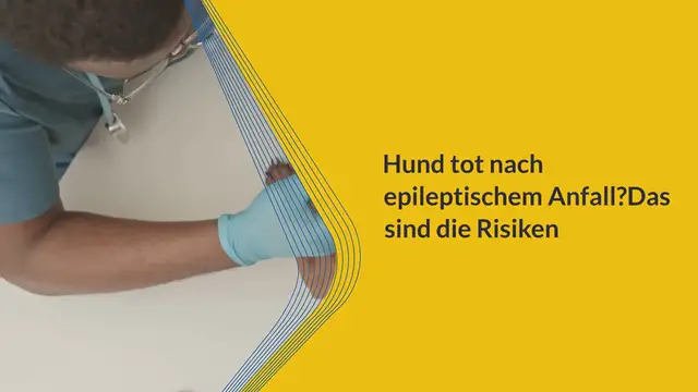 Video thumbnail for Hund tot nach epileptischem Anfall? Das sind die Risiken