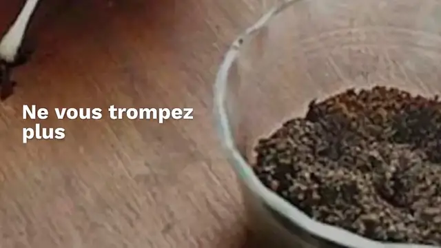 Video thumbnail for Dans quel compartiment faut-il mettre la lessive liquide ? Ne vous trompez plus