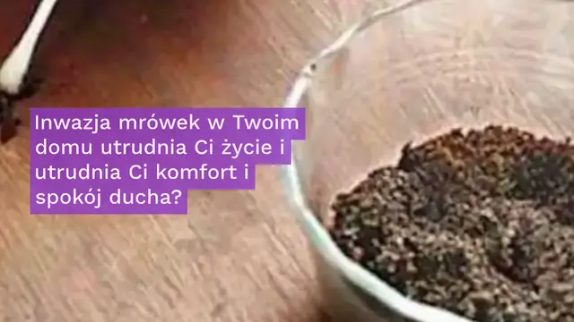 Video thumbnail for Pułapka na mrówki: jak wyeliminować je na zawsze bez użycia pestycydów