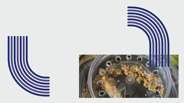 Video thumbnail for Een popcorn machine, een toffe toevoeging voor je keuken