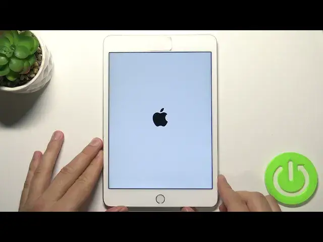 Video thumbnail for How to Power On iPad mini 4 – Switch On