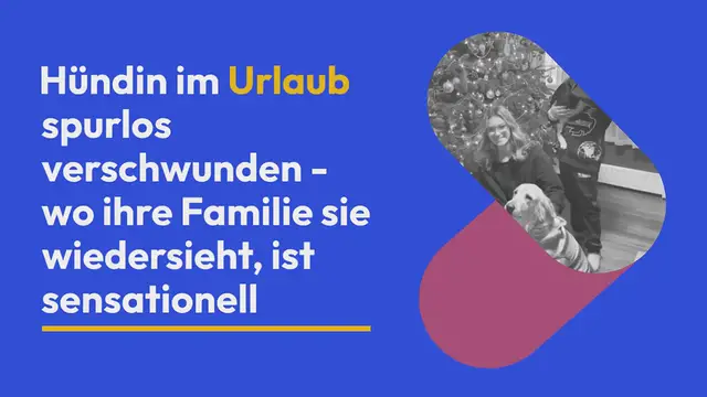 Video thumbnail for Hündin im Urlaub spurlos verschwunden – wo ihre Familie sie wiedersieht, ist sensationell