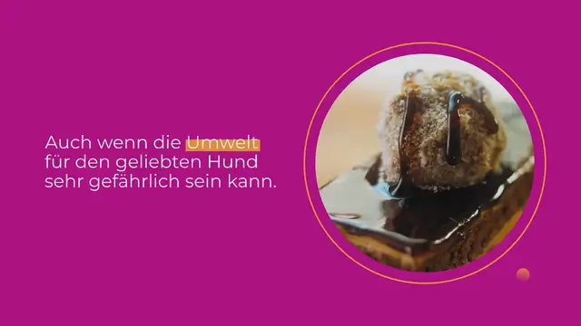 Video thumbnail for Vergiftung beim Hund: 5 Häufige Symptome & Behandlung