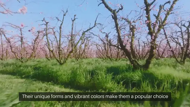 Video thumbnail for How To Landscape With Succulents