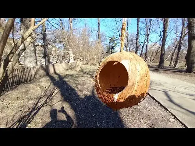 Video thumbnail for Samsung Galaxy M12 Camera Video Test - FHD 30FPS Sample Video (Handheld)