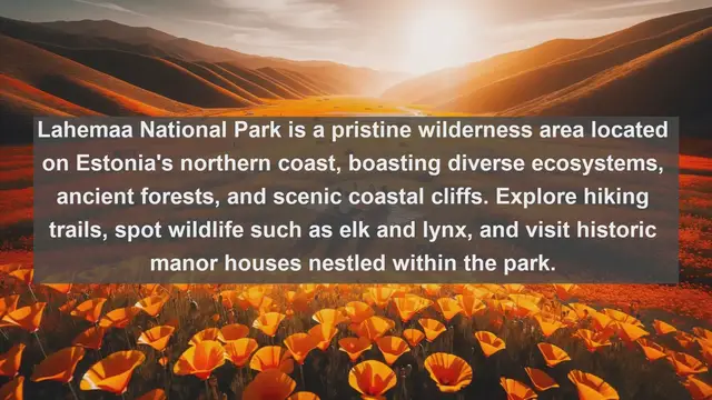 Video thumbnail for Exploring Estonia's Natural Wonders: Top 10 Must-Visit Landscapes