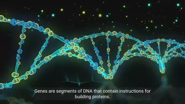 Video thumbnail for Understanding Genetics_ Exploring the Fundamentals 2