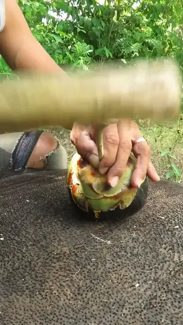 'Video thumbnail for Surely you don't know, Palm fruit with FIRE #survival #camping #outdoors'