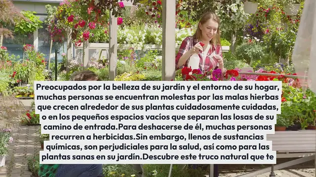 Video thumbnail for Aquí le mostramos cómo eliminar las malas hierbas de su jardín