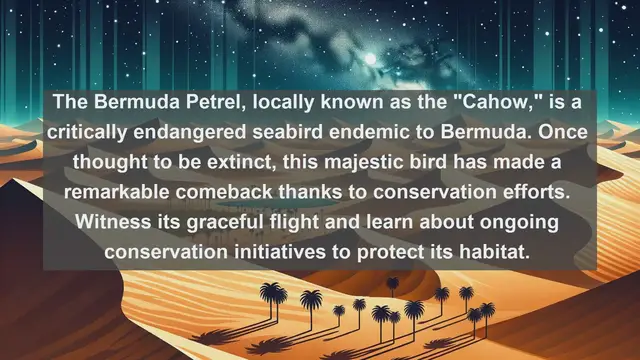 Video thumbnail for Top 10 native fauna in Bermuda