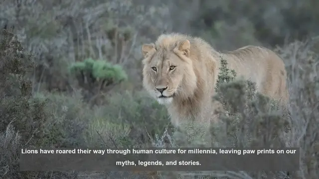 Video thumbnail for 10 Cultural Legends About Lions: From Ancient Egypt to Persia