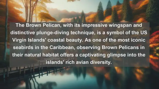 Video thumbnail for Exploring Nature's Bounty: Top 10 Native Fauna in the US Virgin Islands