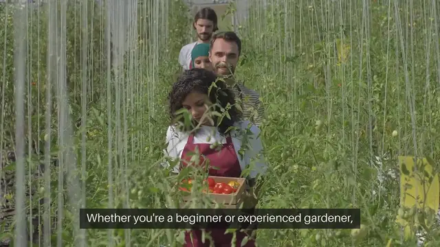 Video thumbnail for Greenhouse Gardening Tips For Year-Round Plants