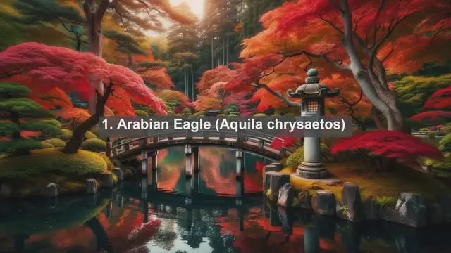 Video thumbnail for Discover Yemen's Avian Treasures: Top 10 Native Birds