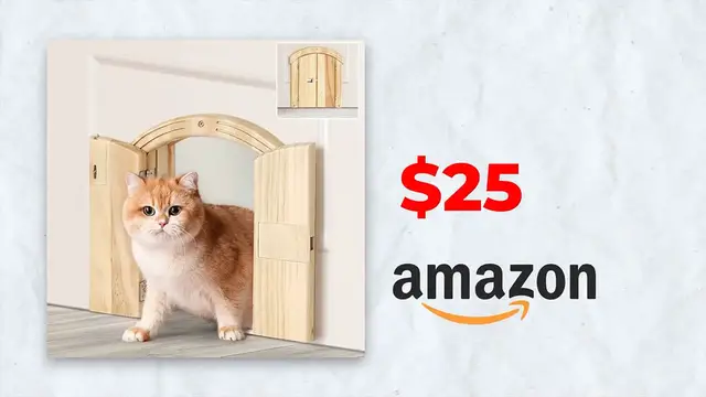 Video thumbnail for Things Rich People Spend Way Too Much Money On