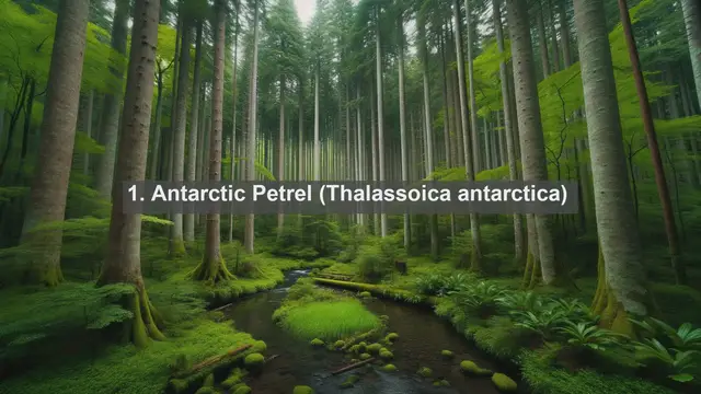 Video thumbnail for Unveiling the Avian Wonders: Top 10 Native Birds of Bouvet Island