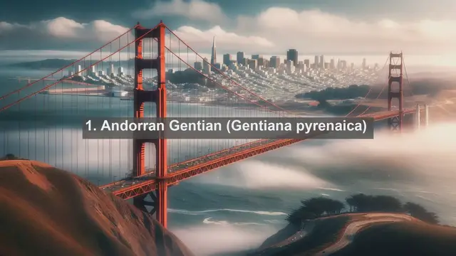 Video thumbnail for Unveiling Andorra's Botanical Treasures: Top 10 Native Flora