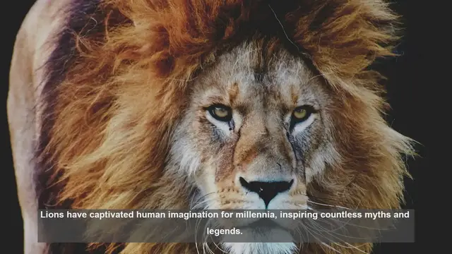 Video thumbnail for 10 Common Lion Myths Debunked: Facts About the African Predator