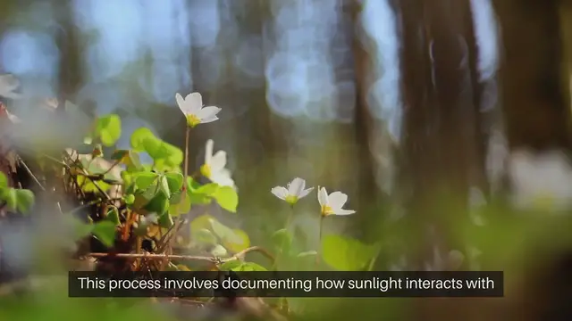 Video thumbnail for Mapping Garden Sun Exposure