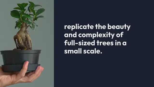 Video thumbnail for Bonsai Gardening Basics