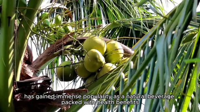 'Video thumbnail for Coconut Water'