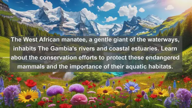Video thumbnail for Discovering The Gambia's Wildlife Treasures: Top 10 Native Fauna