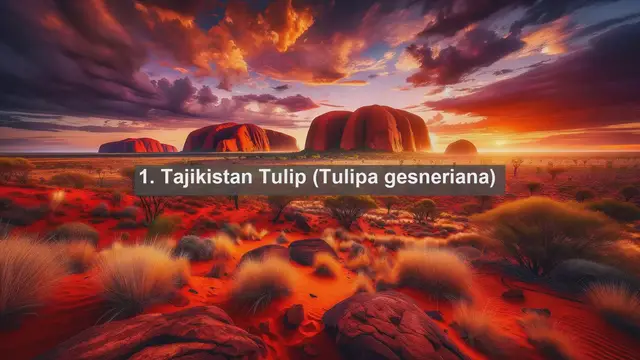 Video thumbnail for Unveiling Tajikistan's Botanical Gems: Top 10 Native Plants You Can't Miss